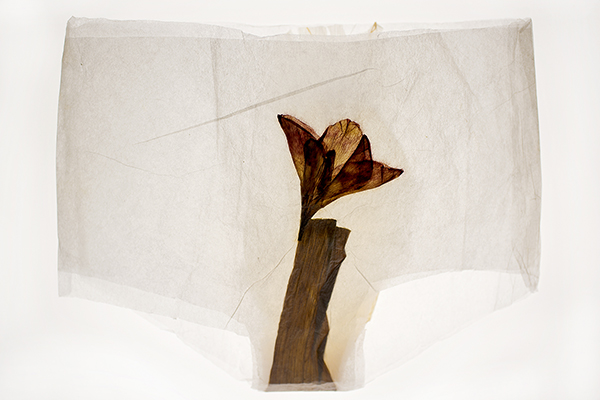 Die Verlockung Slip. 2014